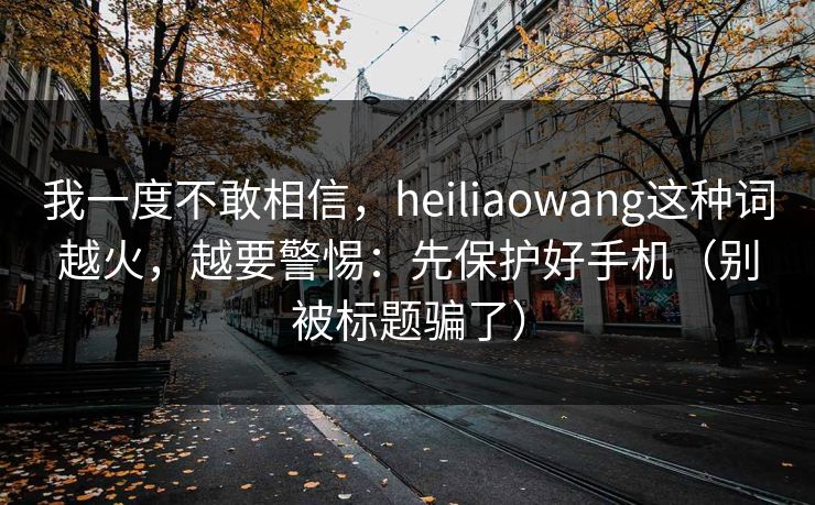 我一度不敢相信，heiliaowang这种词越火，越要警惕：先保护好手机（别被标题骗了）