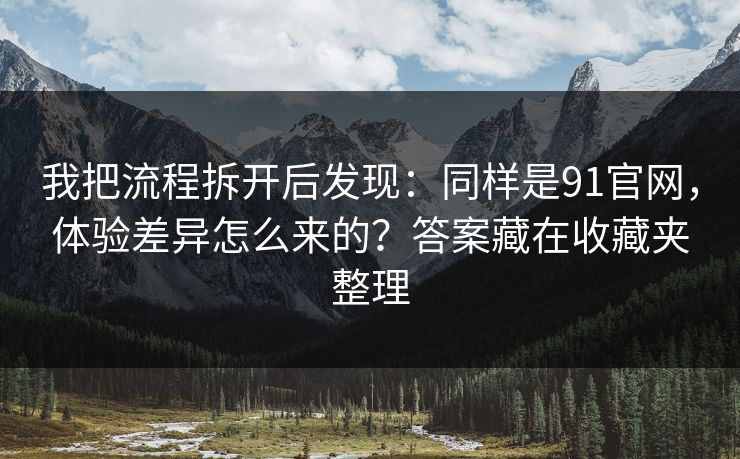 我把流程拆开后发现：同样是91官网，体验差异怎么来的？答案藏在收藏夹整理
